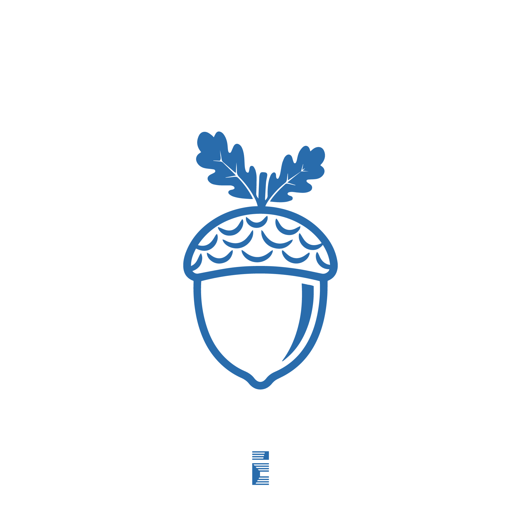 AcornRise Logo Design professional concept