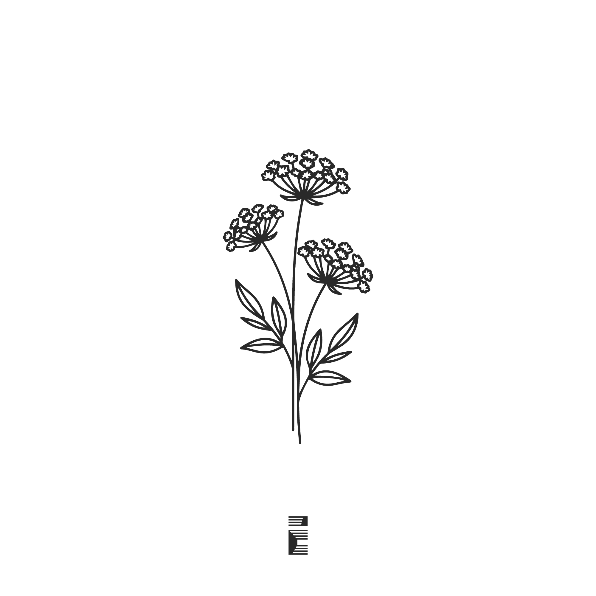 Flora Field wildflower botanical logo design black line illustration